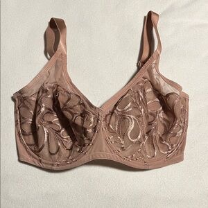 Paramour Embroidered Lace Bra